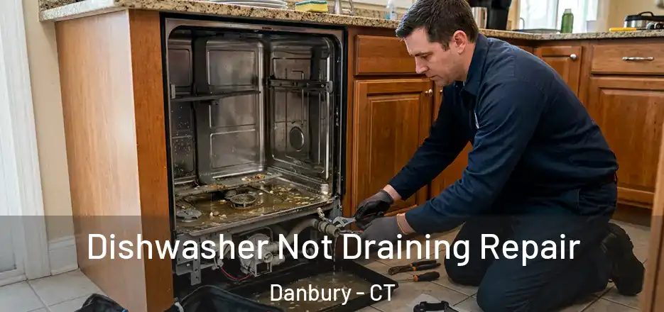  Dishwasher Not Draining Repair Danbury - CT