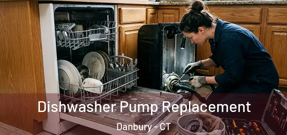  Dishwasher Pump Replacement Danbury - CT