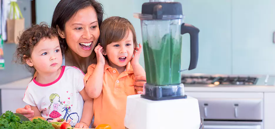 Juicer and Mixer Blender Repair in Danbury