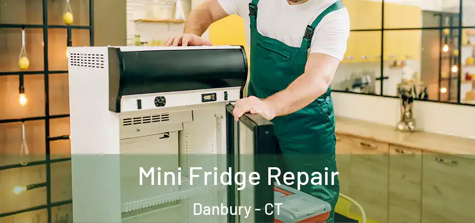  Mini Fridge Repair Danbury - CT