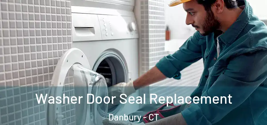  Washer Door Seal Replacement Danbury - CT